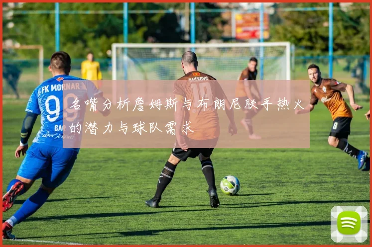 名嘴分析詹姆斯与布朗尼联手热火的潜力与球队需求