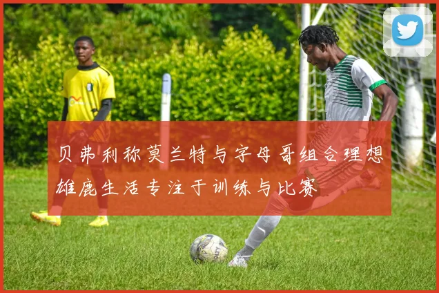 贝弗利称莫兰特与字母哥组合理想雄鹿生活专注于训练与比赛