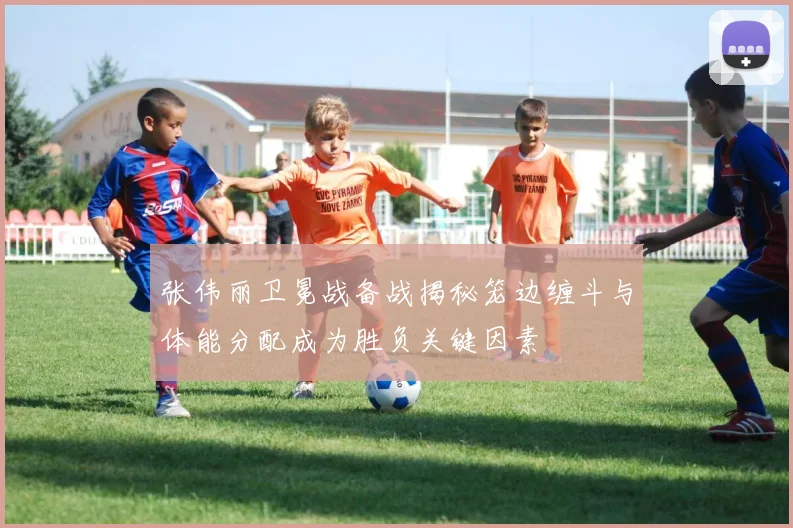 张伟丽卫冕战备战揭秘笼边缠斗与体能分配成为胜负关键因素