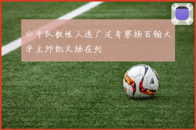 公牛队教练人选广泛考察杨百翰大学主帅凯文杨在列