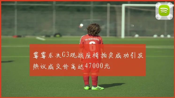 霉霉东决G3观战座椅拍卖成功引发热议成交价高达47000元